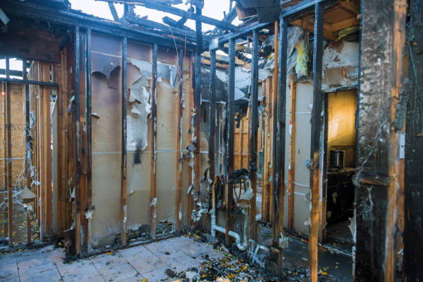 Professional Fire Damage Removal technician working in Mesa, AZ