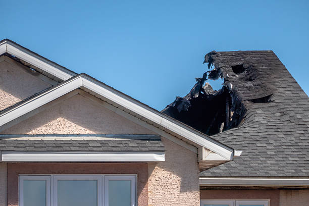 Top rated local Fire Damage Removal specialists in Mesa, AZ